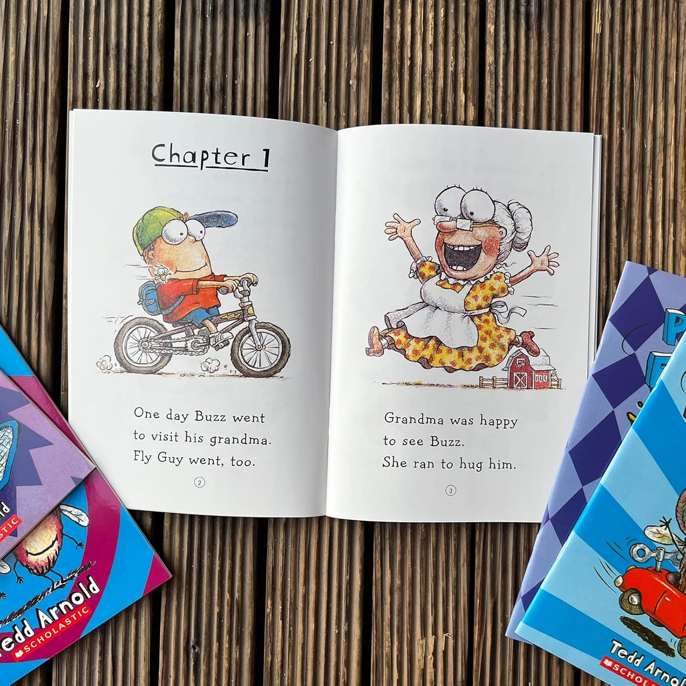 Fly Guy Complete Collection Series Set Books 1-21