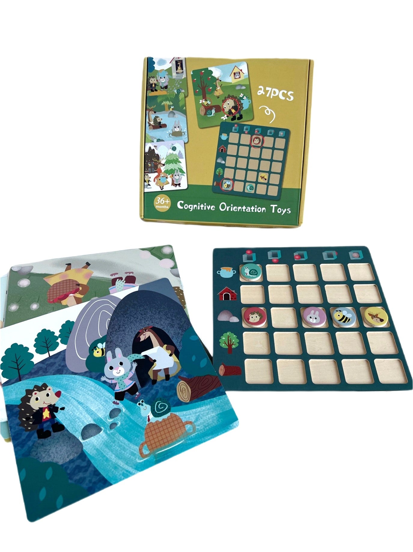 COGNITIVE ORIENTATION TOY