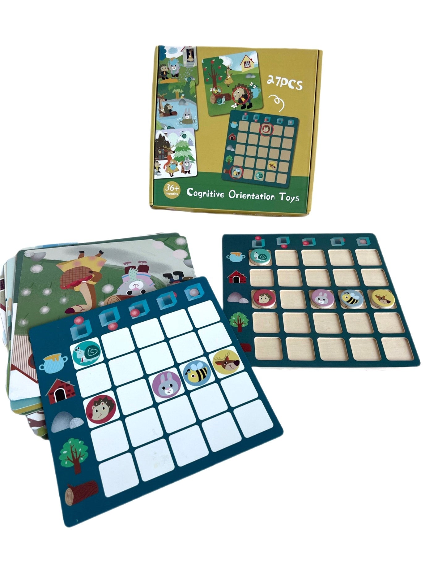 COGNITIVE ORIENTATION TOY