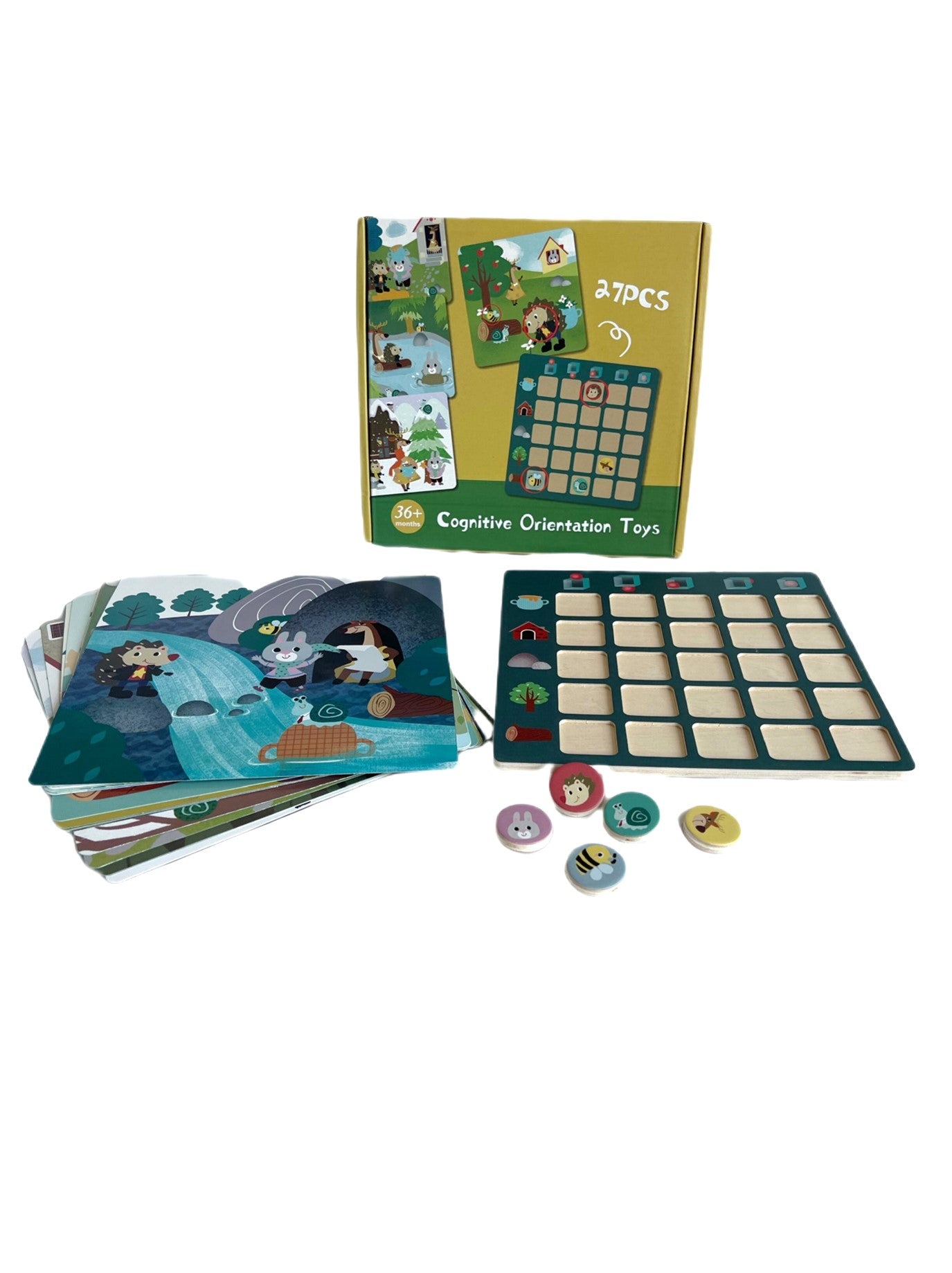COGNITIVE ORIENTATION TOY