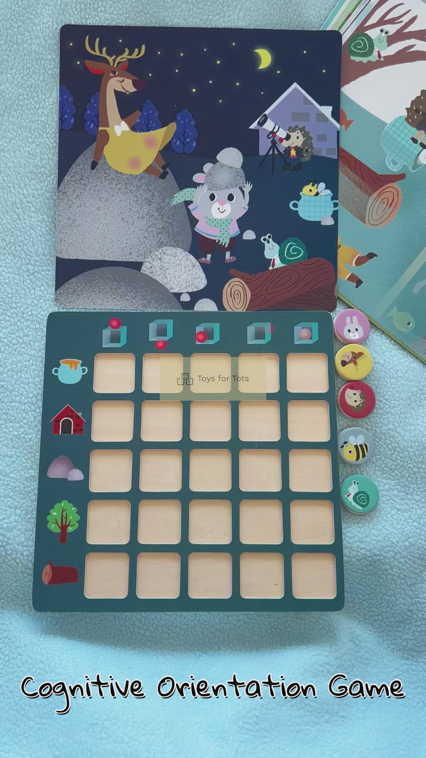 COGNITIVE ORIENTATION TOY