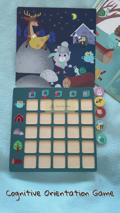 COGNITIVE ORIENTATION TOY